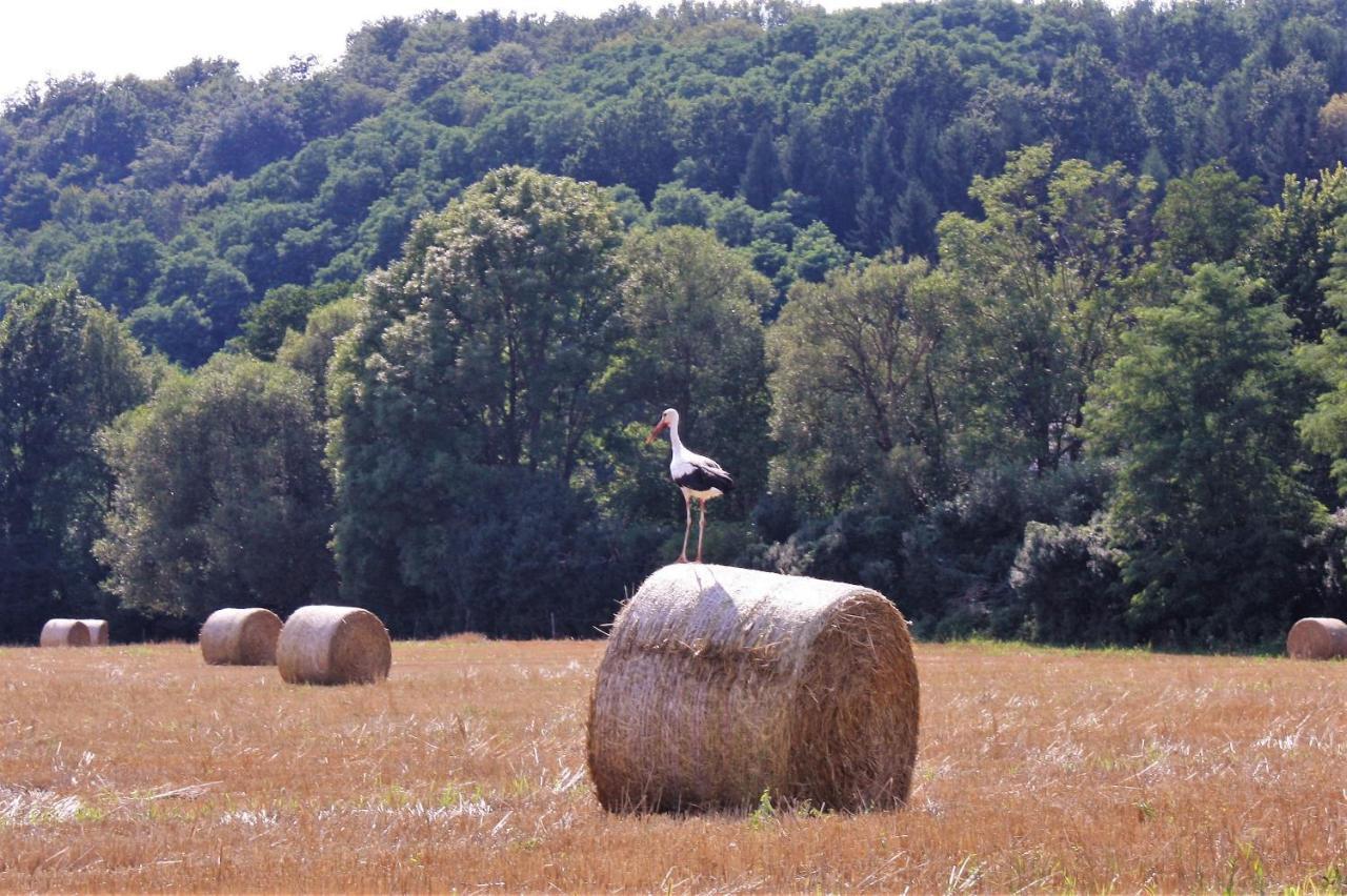 Naturpark Vendeghaz Alsoszolnok エクステリア 写真